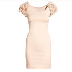 H&M NWT paste pink The Garden Collection bodycon mini dress puffy floral sleeves